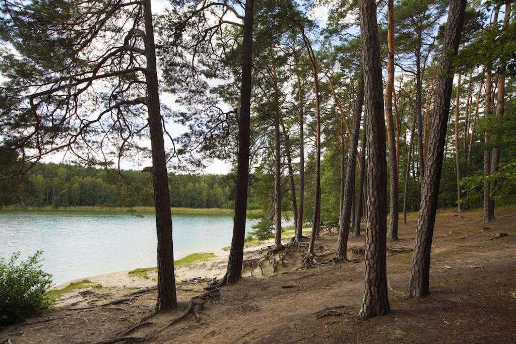 Kaminsko By Latowisko - Puszcza Zielonka Villa Kültér fotó