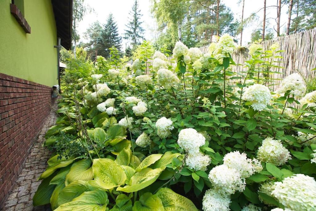 Kaminsko By Latowisko - Puszcza Zielonka Villa Kültér fotó